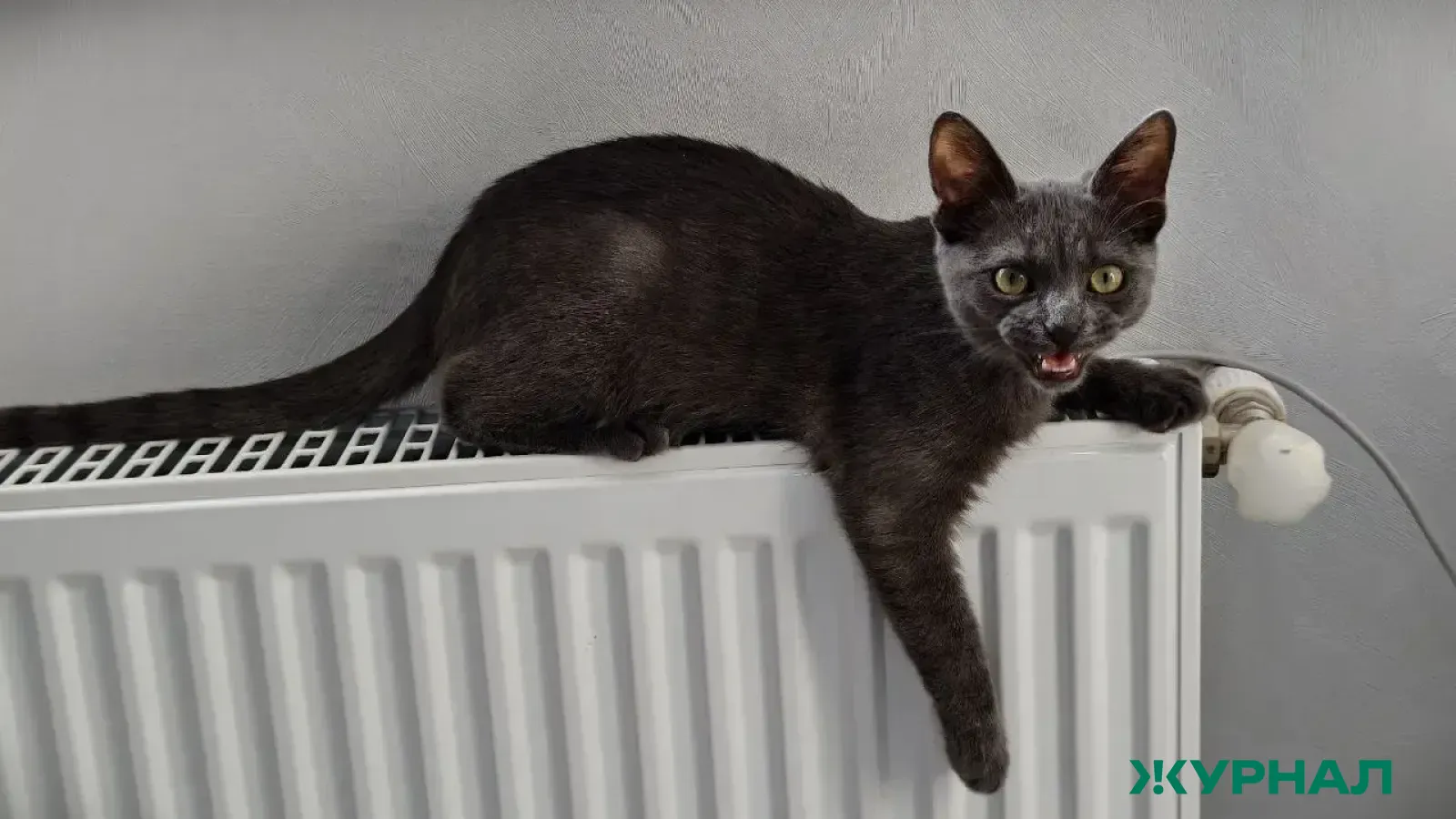 Рост тарифов на отопление в Башкирии вызывает вопросы у жителей