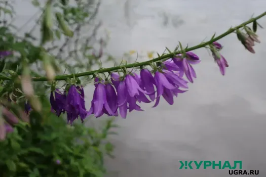 Теплый март ожидает жителей Башкирии с перепадами температур