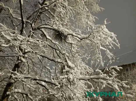 Погода в Уфе 24 февраля: мороз до 15 градусов и солнечно