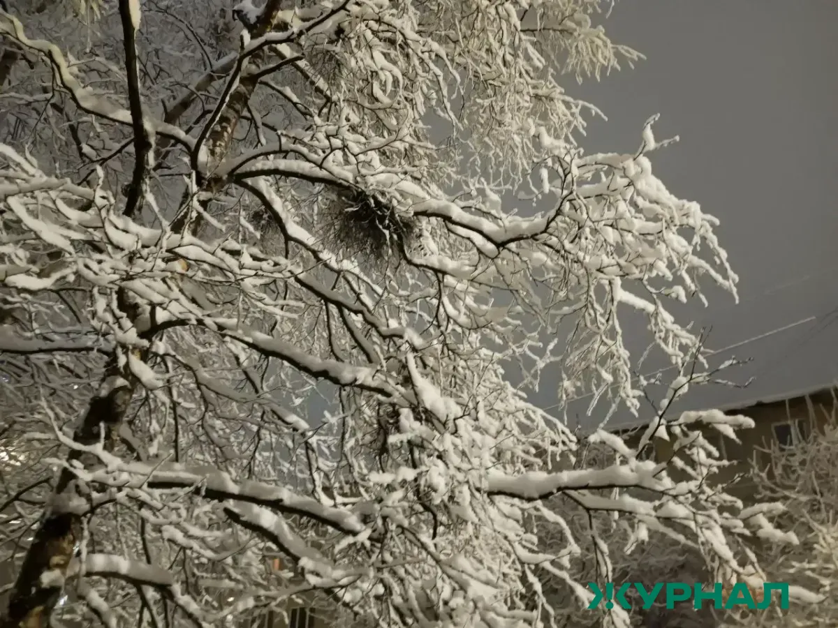 Погода в Уфе 24 февраля: мороз до 15 градусов и солнечно