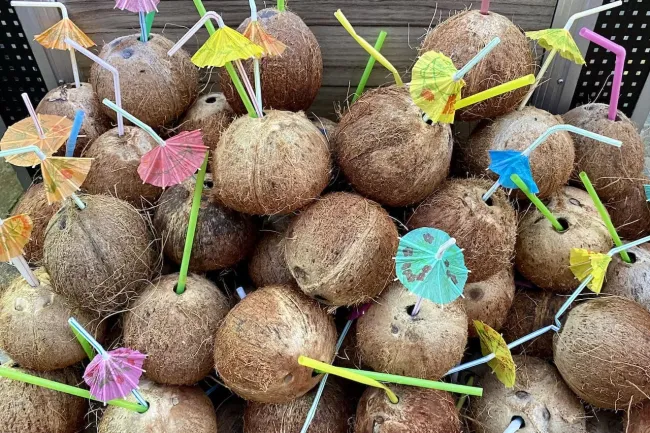 Кокосовое молоко как альтернатива молочным продуктам для пациентов в Уфе