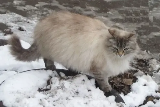 Неблагоприятные погодные условия ожидаются в Башкирии с 1 марта