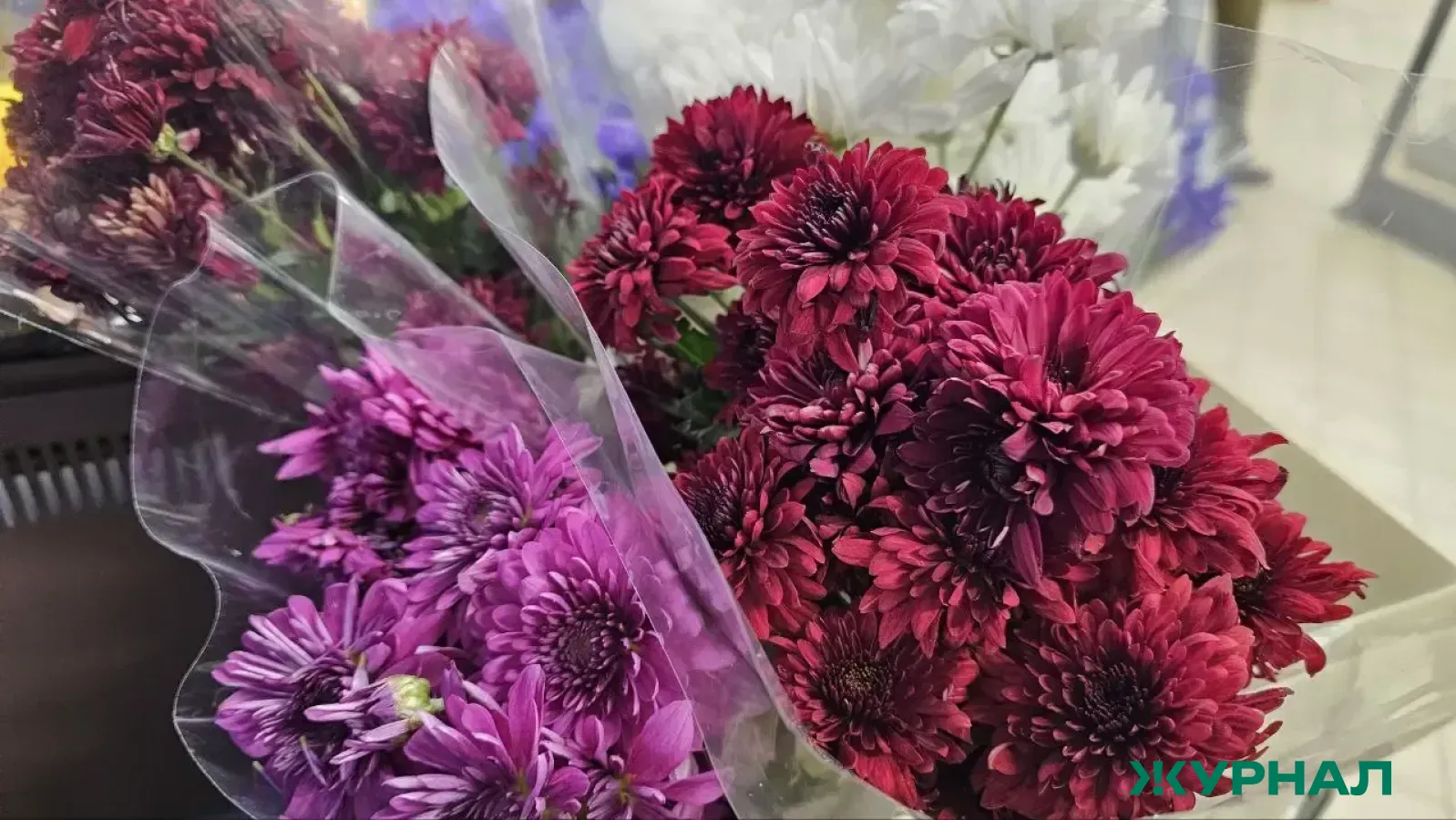 Торжественное чествование женщин прошло в Башкирском театре оперы и балета