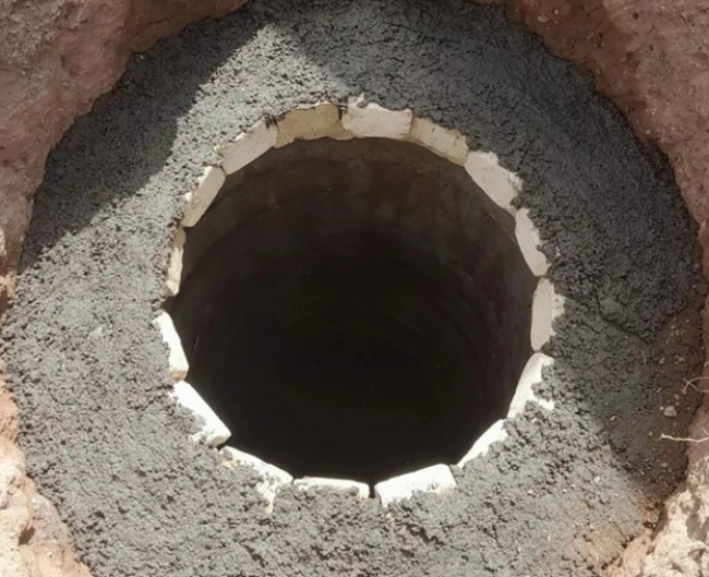 Березы против переполнения: как высадка 2−3 деревьев спасет вашу выгребную яму