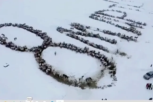 В Иглинском районе трактором выложили поздравление для женщин из сена