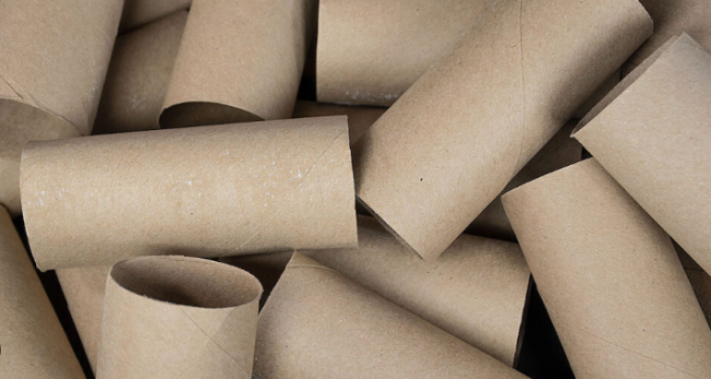 Картонные втулки от туалетной бумаги: 4 полезных лайфхака для дома и сада