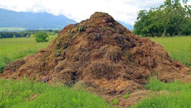 Компост за зиму: как быстро сделать удобрение в мусорных мешках