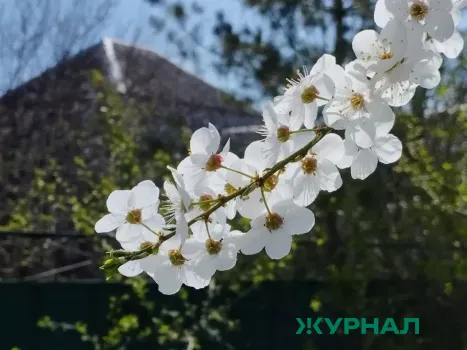 Аномальное потепление ожидается в Башкирии в конце марта и апреле