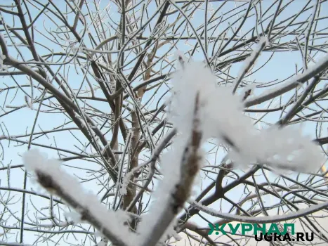 Теплая погода ожидается в Башкирии на ближайшие дни