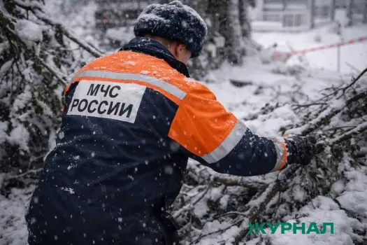 Туристы нашли в Башкирии землянку с двумя отшельницами, их эвакуировали