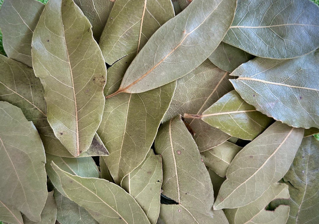 Лавровый лист в саду: как 3 листа улучшат почву и защитят растения