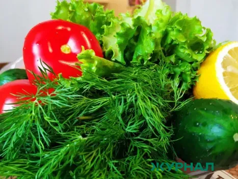 Специалисты госпиталя ветеранов в Уфе рекомендуют весенние продукты для здоровья