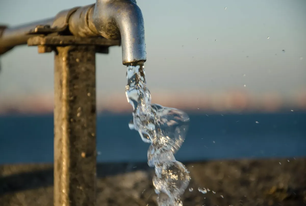 Как найти источник воды на участке с помощью бутылок за 12 часов