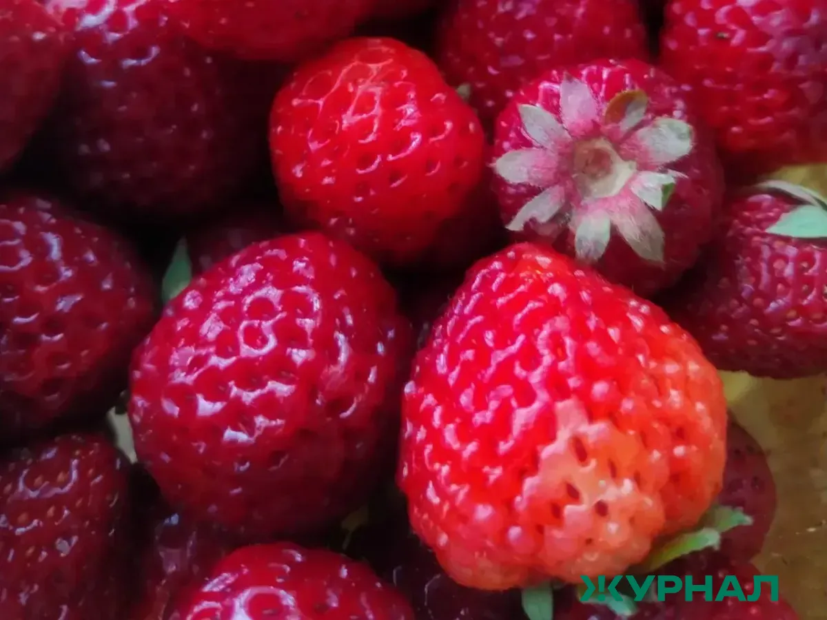 Анафилактический шок: врач объясняет опасности аллергии на продукты и укусы насекомых