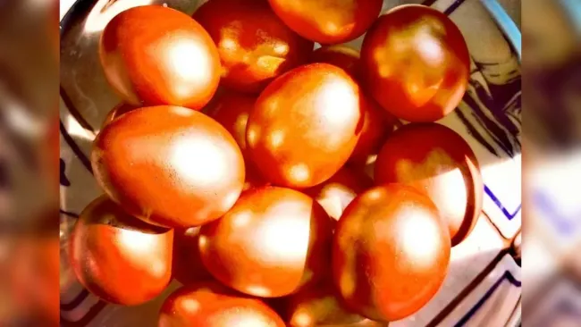 Окрашивание яиц морковью: два простых способа для ярких пасхальных &laquo;крашенок&raquo;