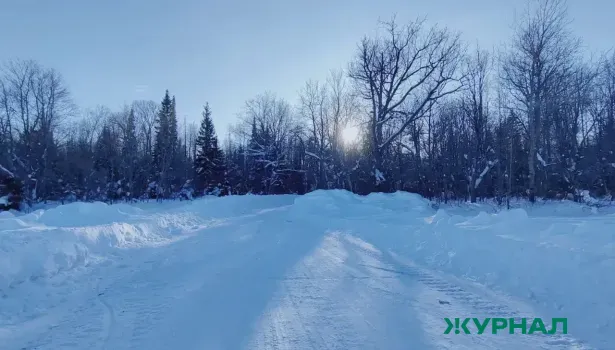 Курьер на электровелосипеде заблудился в лесу под Уфой