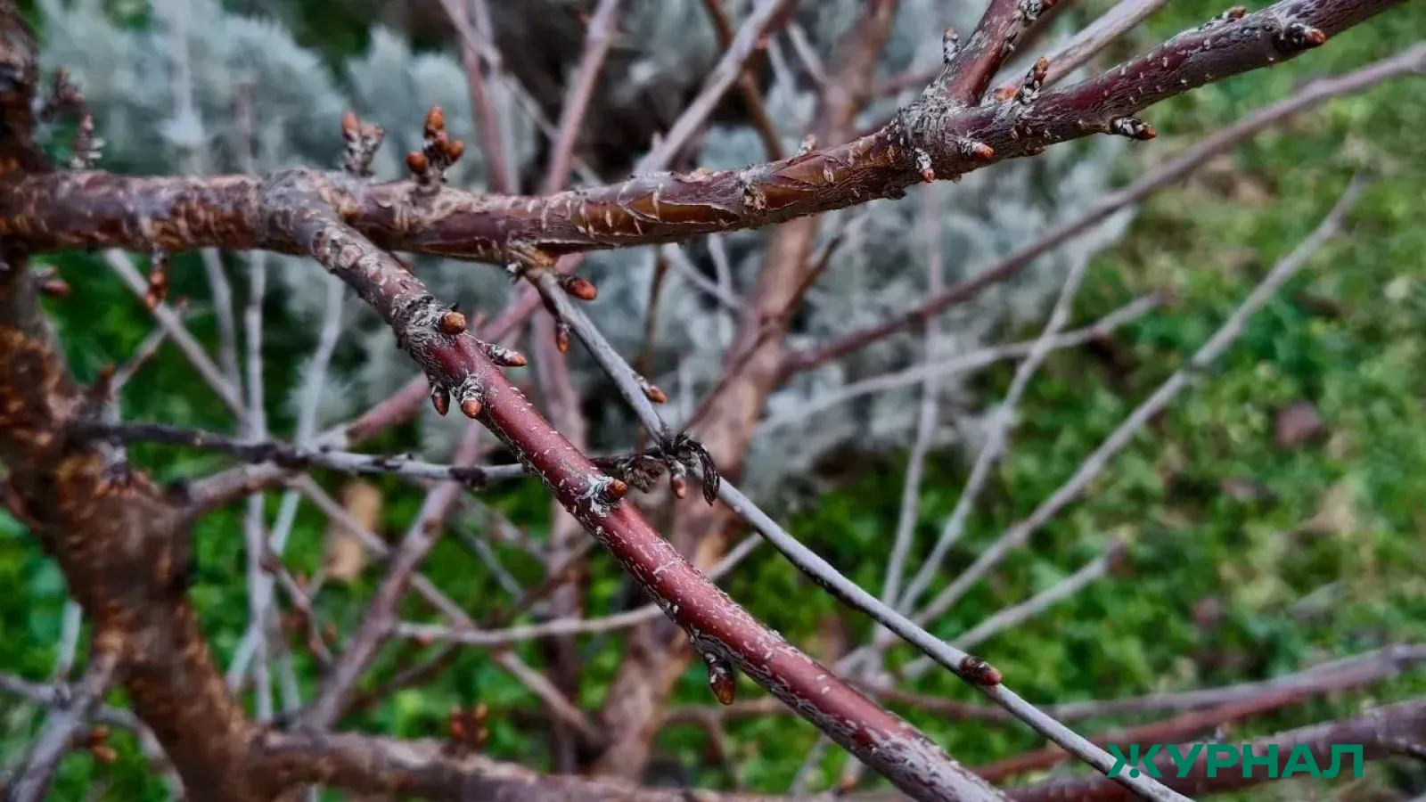 Погода в Уфе: на неделе ожидается потепление до +16 градусов
