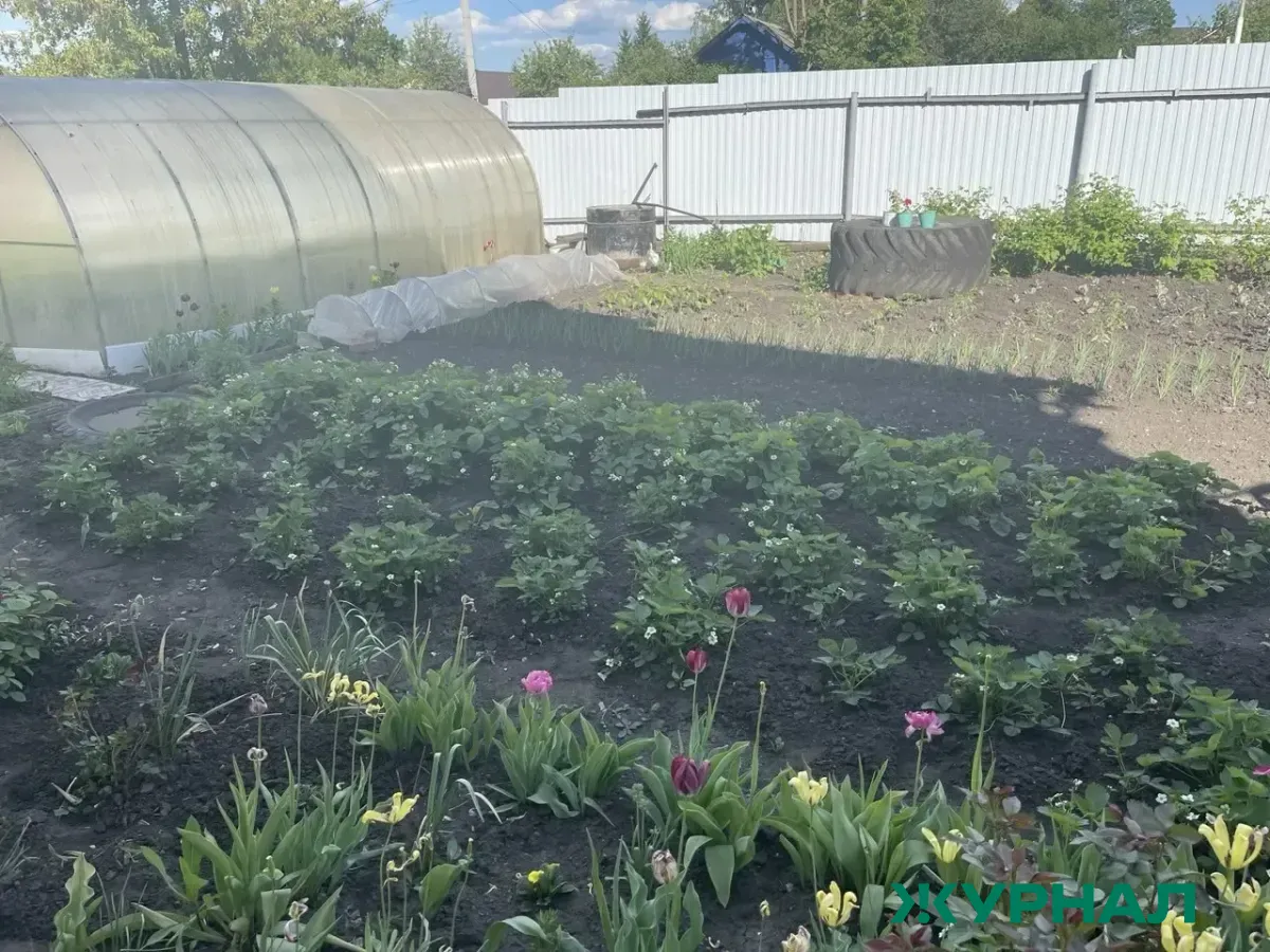 Уфимцы тратят на загородные участки в среднем 490 тысяч рублей