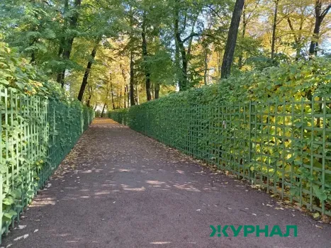 Посещаемость природных парков Башкортостана остаётся на уровне 2025 года