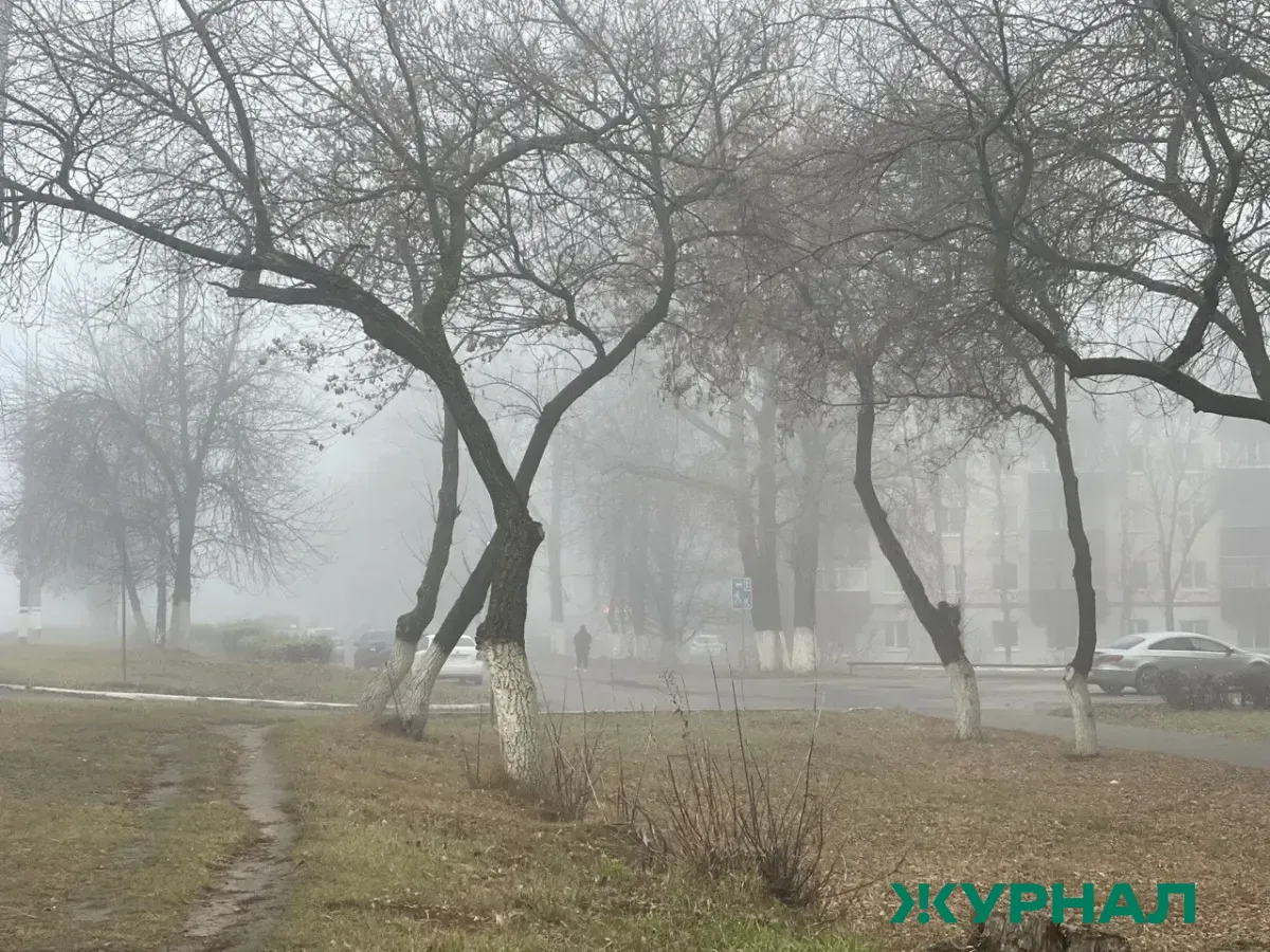 Штормовое предупреждение: в Башкирии ожидается сильный туман