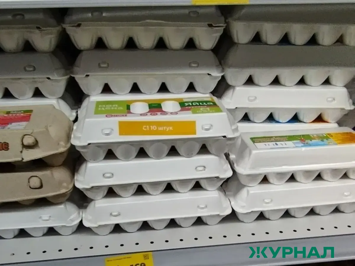 Цены на продукты в Башкирии: морковь и яйца подорожали, огурцы и помидоры стали дешевле