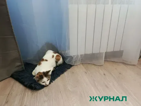 Отключение отопления в Башкирии может начаться в ближайшие выходные