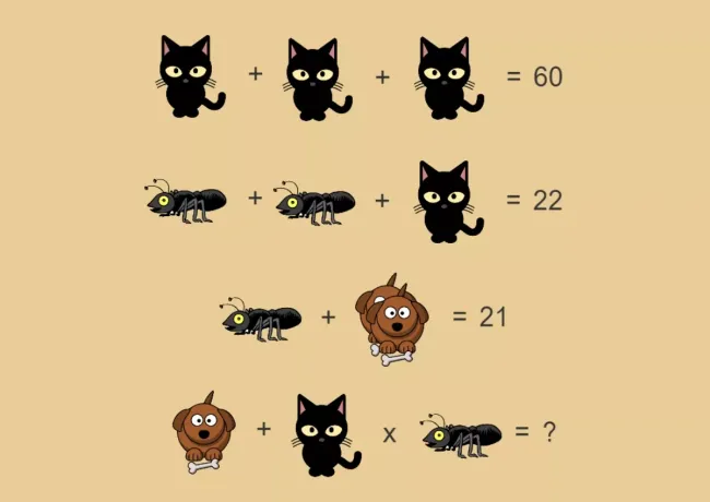 Проверьте свою сообразительность: решите визуальную головоломку с котиками и собачками за 8 секунд