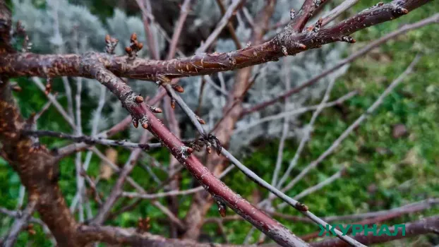 Резкие колебания температуры ожидаются в Башкирии 1 апреля