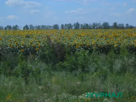 В Башкирии бесхозные земли активно вовлекаются в оборот