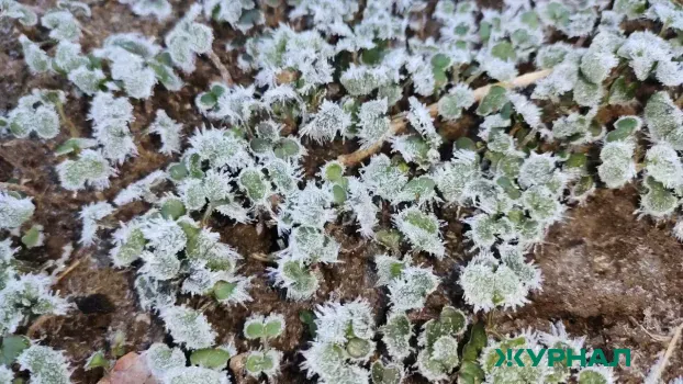 В Башкирии ожидаются заморозки и дожди в выходные дни