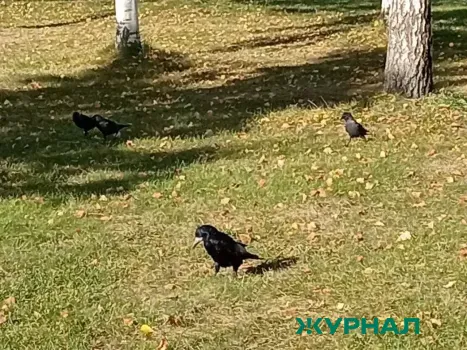 Солнечная погода и температура до 14 градусов ожидаются в Уфе 5 апреля