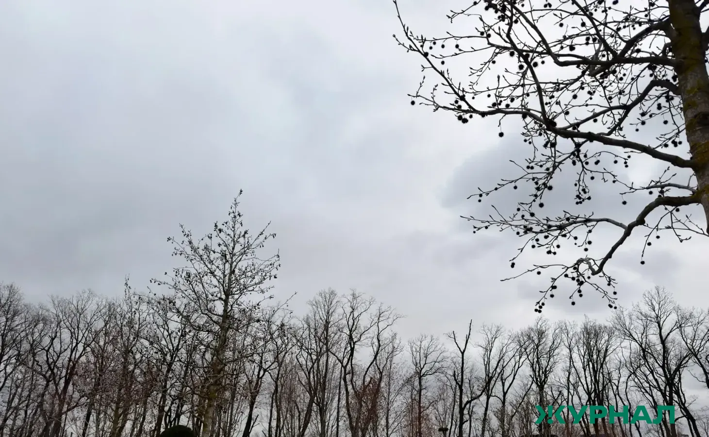 Температурные колебания в Башкирии: от заморозков до 20 градусов тепла