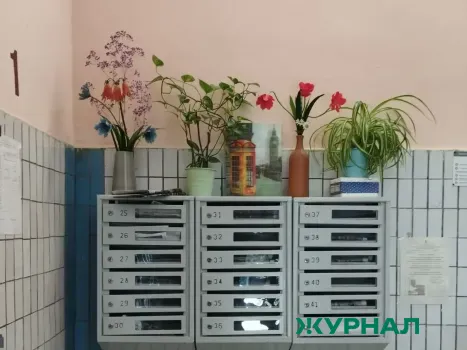 Конкурс на лучший Совет многоквартирного дома стартует в Уфе