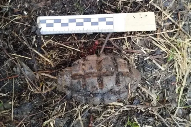 В Башкирии фермер нашел боевую гранату времен Гражданской войны