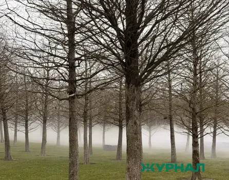 В Башкирии ожидаются туман и ухудшение видимости на дорогах