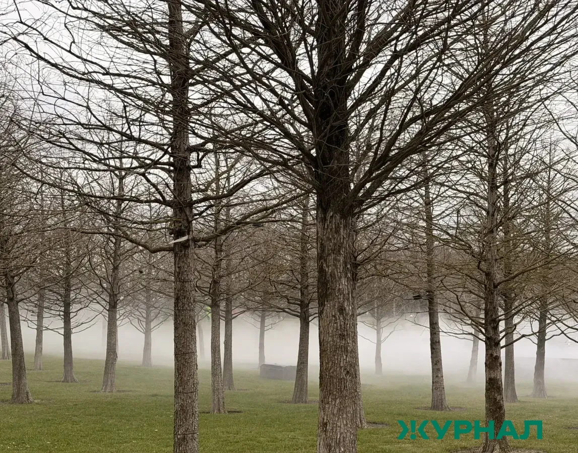 В Башкирии ожидаются туман и ухудшение видимости на дорогах