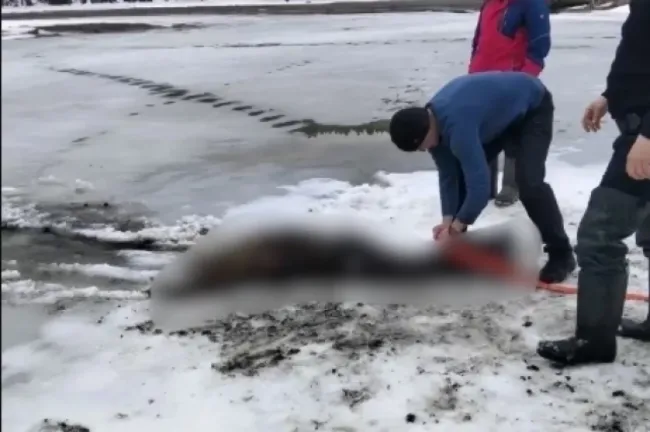 В Мечетлинском районе из пруда извлекли тело 68-летнего мужчины