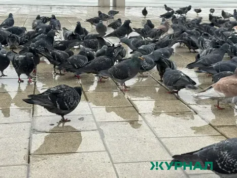 Дождливая погода ожидается в Уфе 9 апреля с температурой до 15 градусов