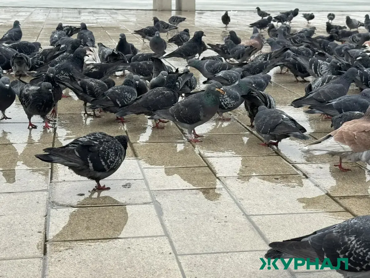 Дождливая погода ожидается в Уфе 9 апреля с температурой до 15 градусов