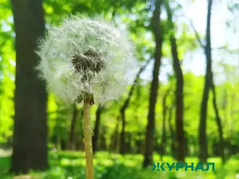 Прогноз погоды в Башкирии на майские праздники: дожди и умеренное тепло