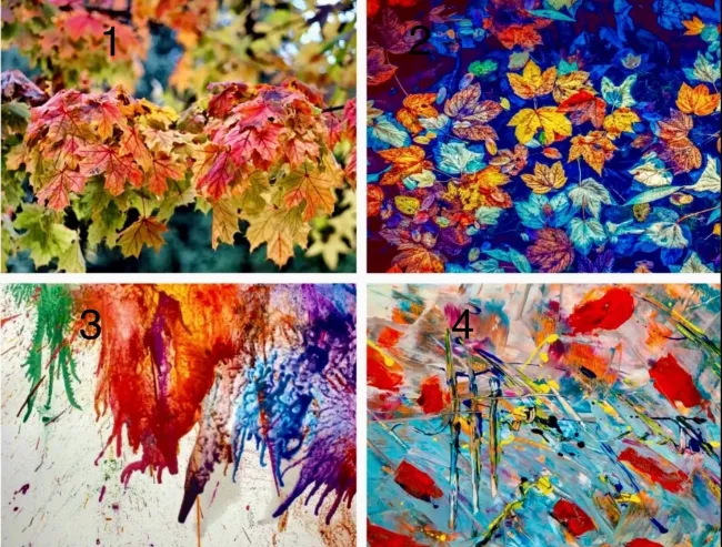 Тест по картинкам: узнайте, что говорит о вас ваш выбор