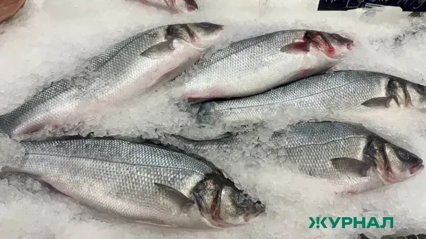 Рост случаев описторхоза в Башкирии: 26 заболевших в 2025 году