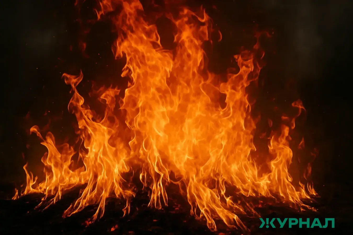 В Башкирии зафиксировали первые в сезоне лесные пожары