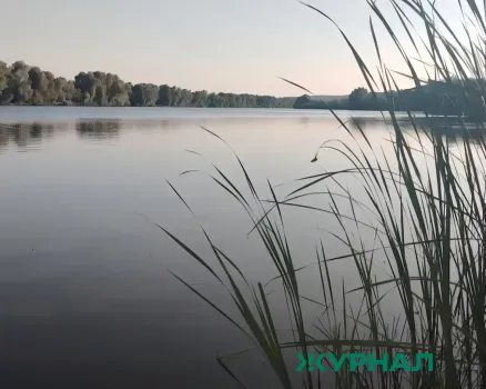 В озере Узеть всплыли туши баранов после утопления стада