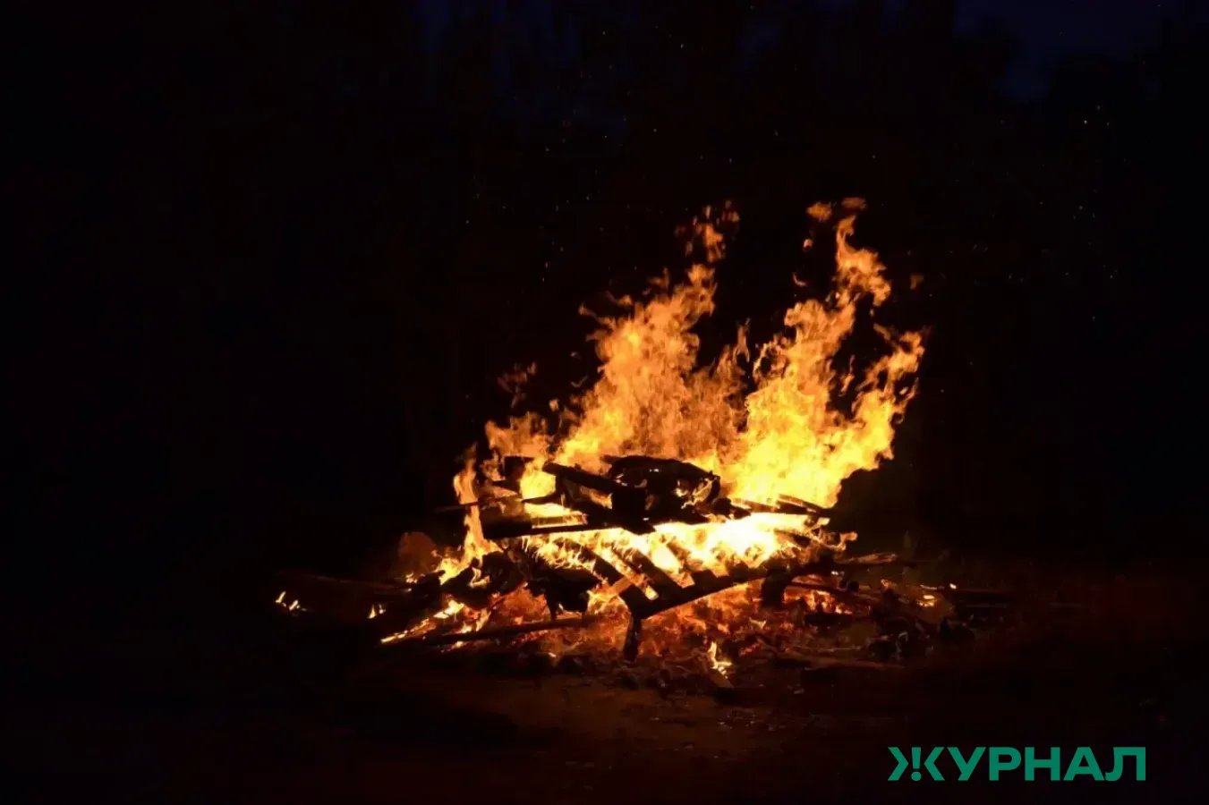 В Башкирии с 30 апреля вводят особый противопожарный режим