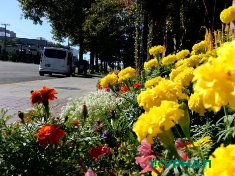 В Уфе обсудили планы по вертикальному озеленению и благоустройству города