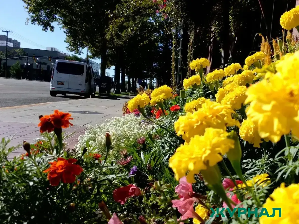 В Уфе обсудили планы по вертикальному озеленению и благоустройству города