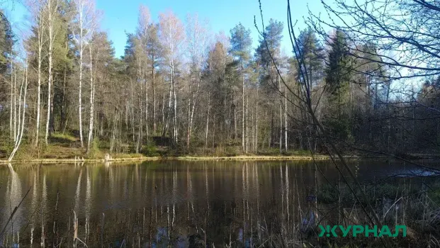 В озере Узеть в Башкирии завершили извлечение овец после трагедии
