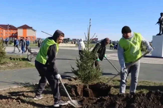 В Башкирии высажены тысячи деревьев и кустарников в рамках акций по озеленению