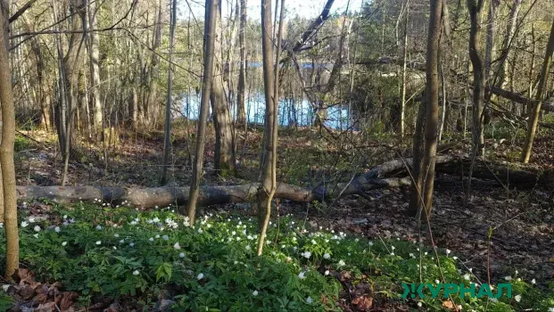 В Белорецком районе мужчина заблудился в лесу